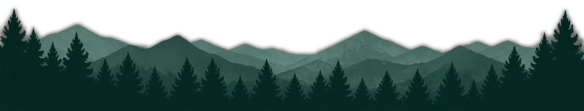 mountains & evergreens